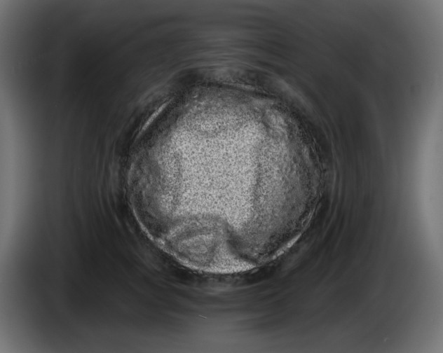 X0000083570757200703021746