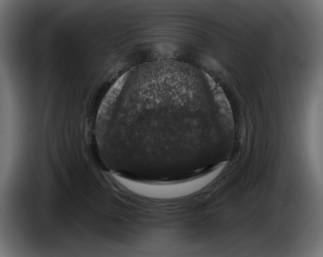 X0000083570759200703021746