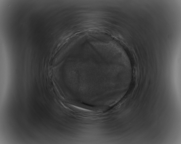 X0000083570760200703021746