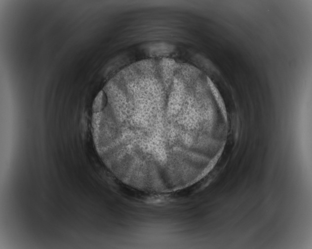 X0000083570761200703021746
