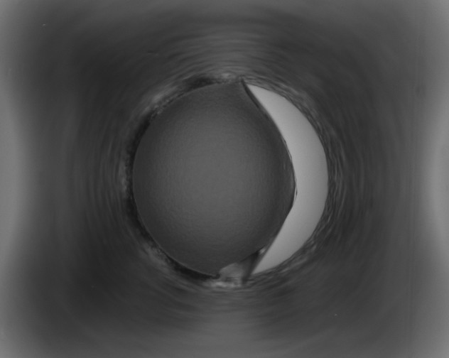 X0000083570762200703021746
