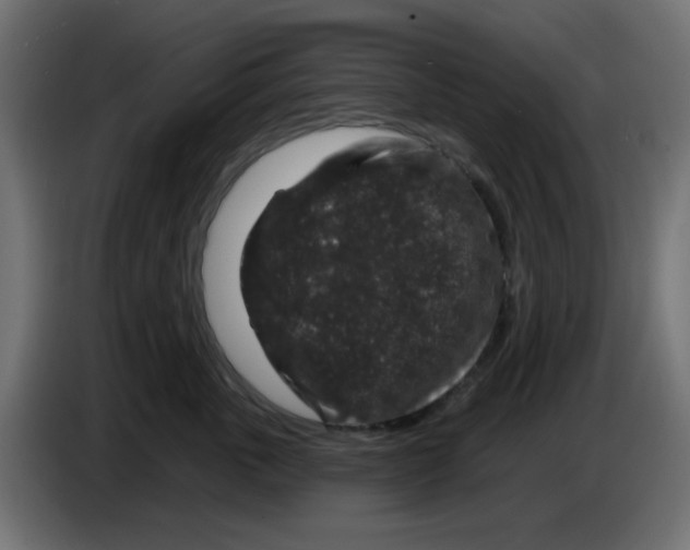 X0000083570763200703021747