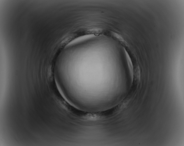 X0000083570764200703021747