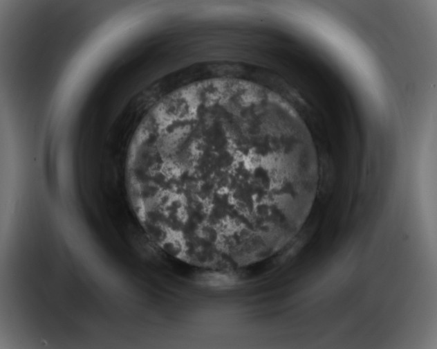 X0000083570765200703021747
