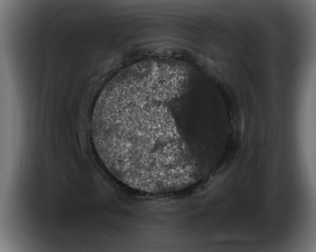 X0000083570769200703021746