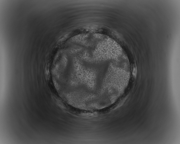X0000083570771200703021746