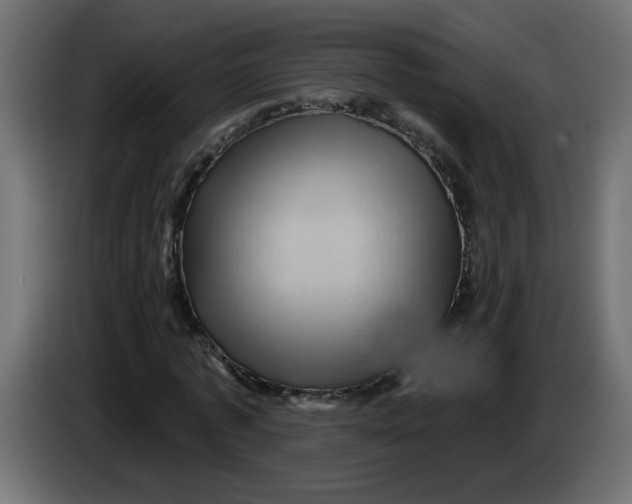 X0000083570773200703021746
