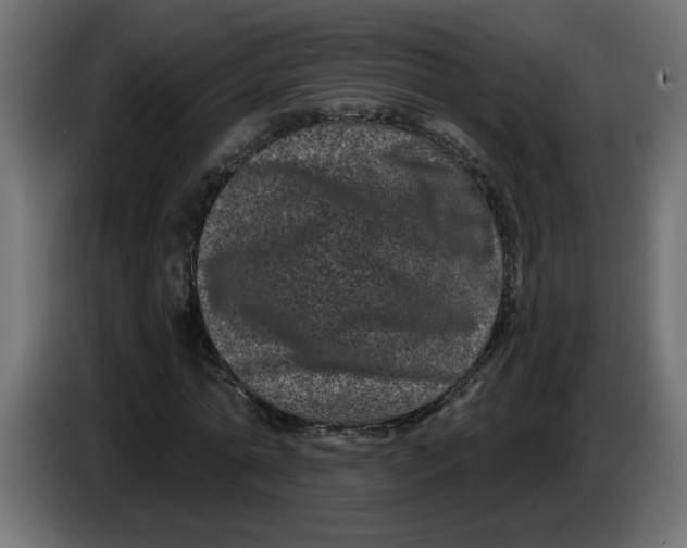 X0000083570774200703021746