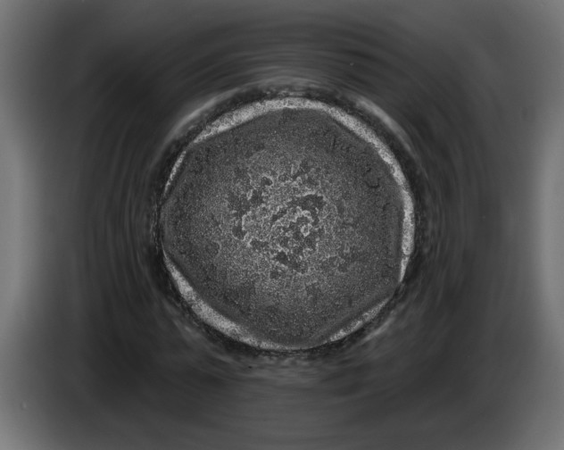 X0000083570775200703021746