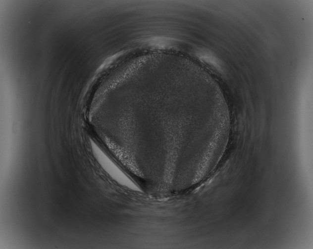 X0000083570776200703021746