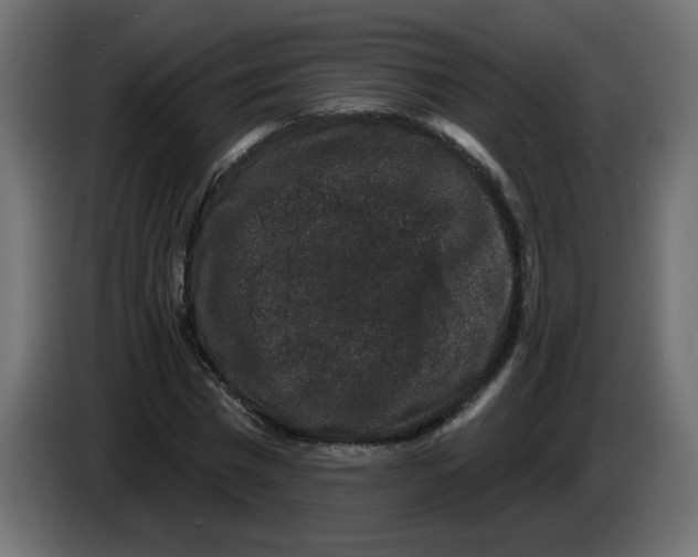 X0000083570777200703021746