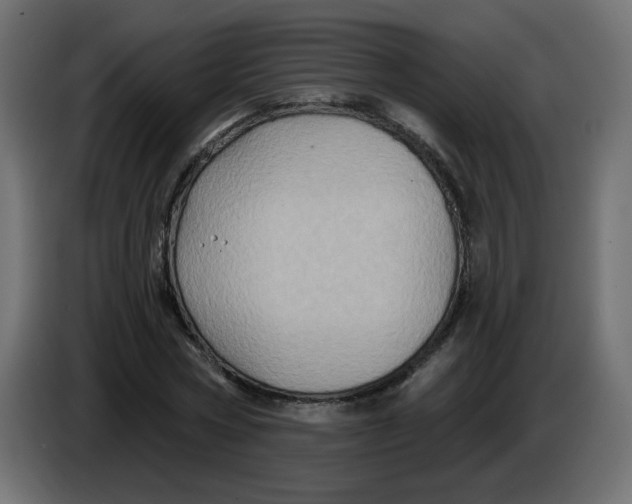 X0000083570778200703021746
