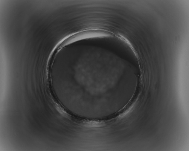 X0000083570779200703021746