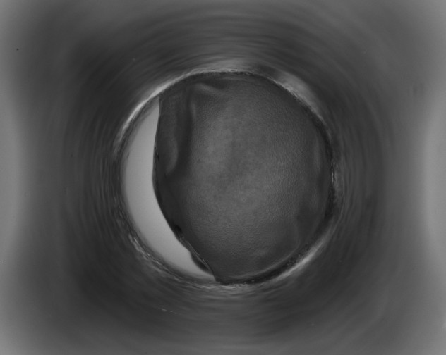 X0000083570781200703021746
