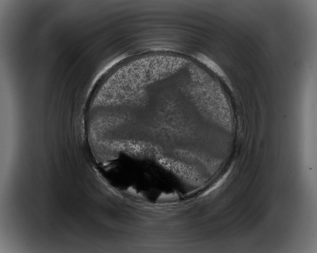 X0000083570782200703021746
