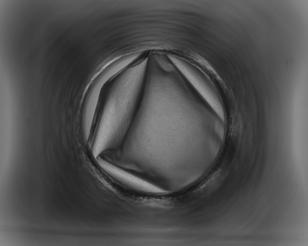 X0000083570786200703021745