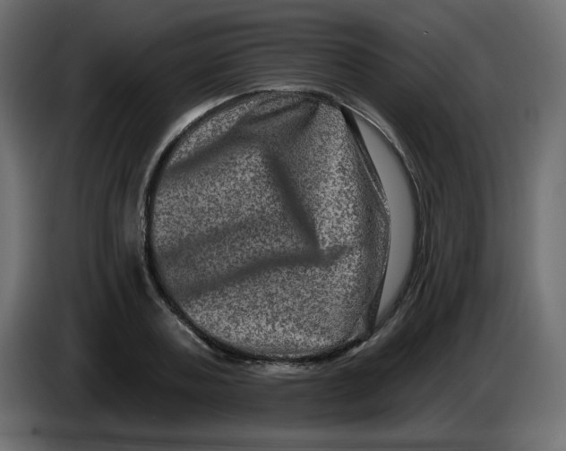 X0000083570787200703021745