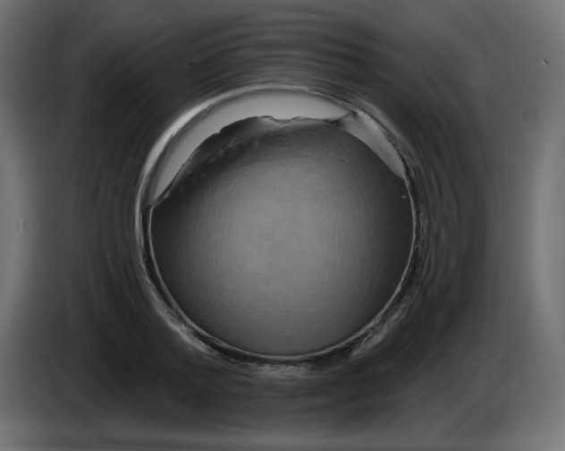 X0000083570788200703021745