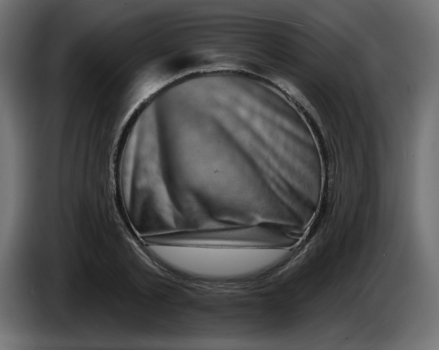 X0000083570789200703021745