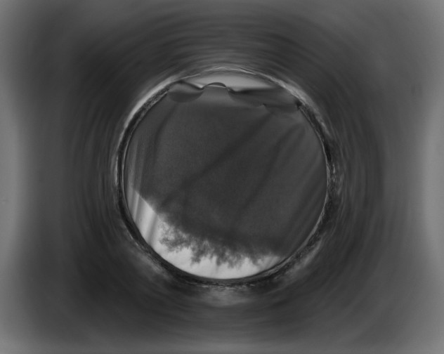 X0000083570790200703021745