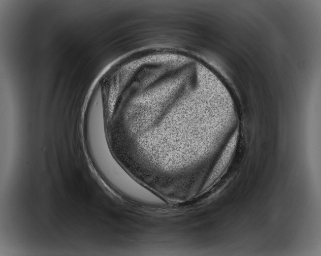 X0000083570791200703021745