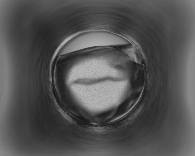 X0000083570792200703021745