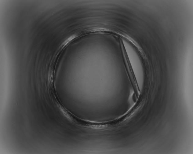 X0000083570793200703021745