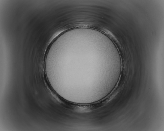 X0000083570794200703021745