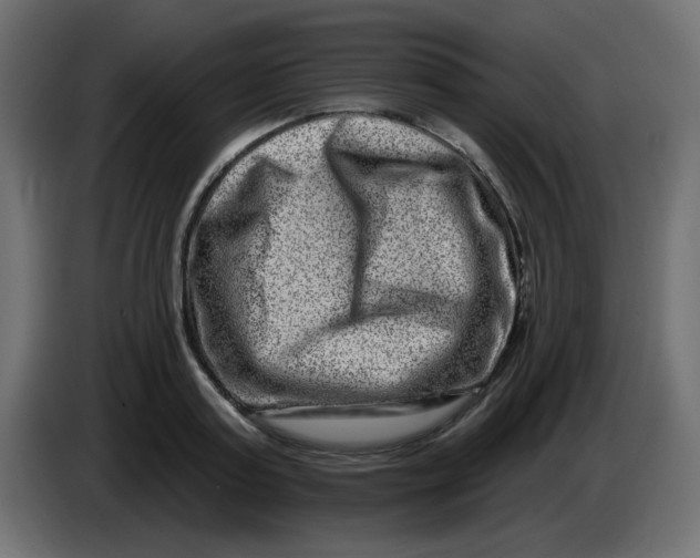 X0000083570795200703021745
