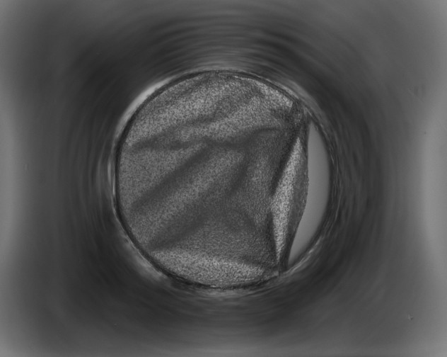 X0000083570796200703021745