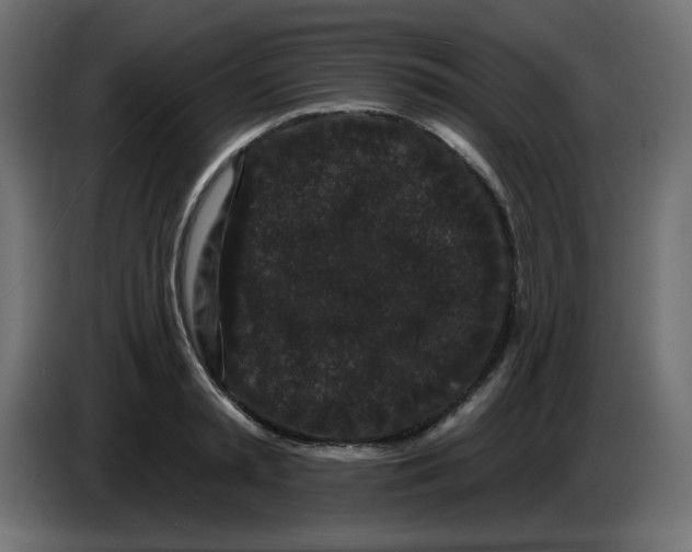 X0000083570797200703021745