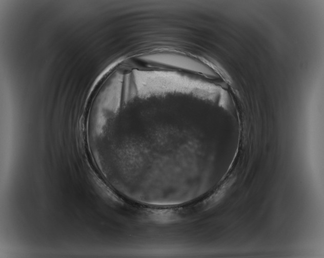 X0000083570798200703021745