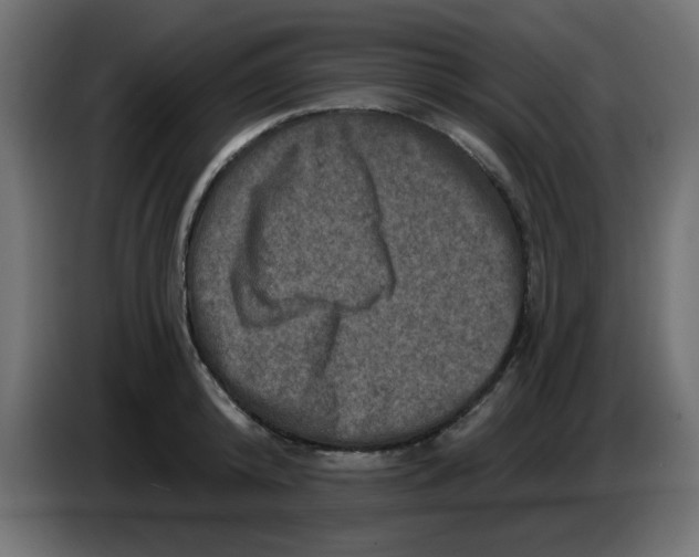 X0000083570800200703021745