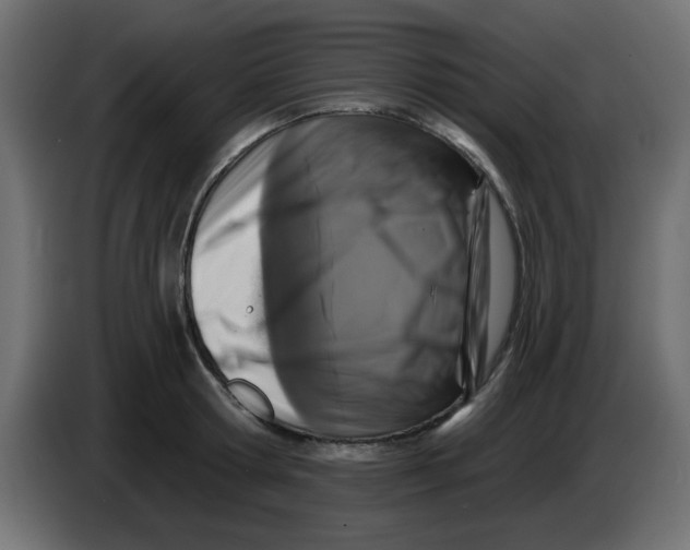 X0000083570802200703021745