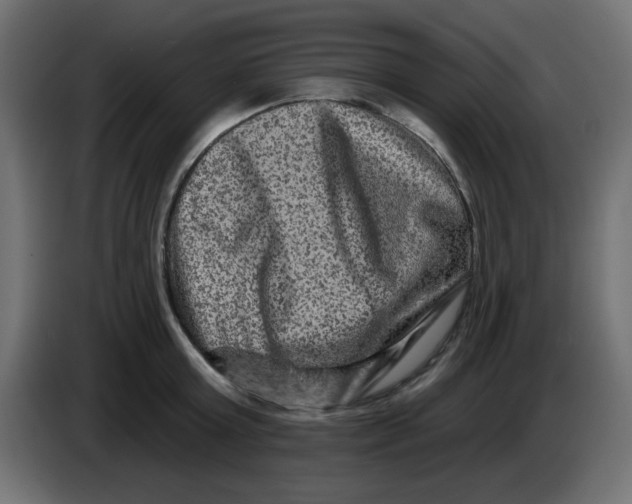 X0000083570803200703021745