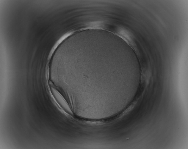 X0000083570804200703021745