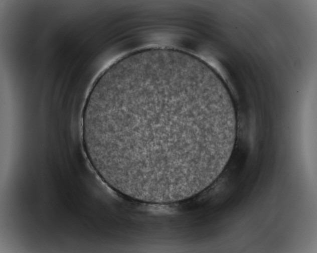 X0000083570807200703021745