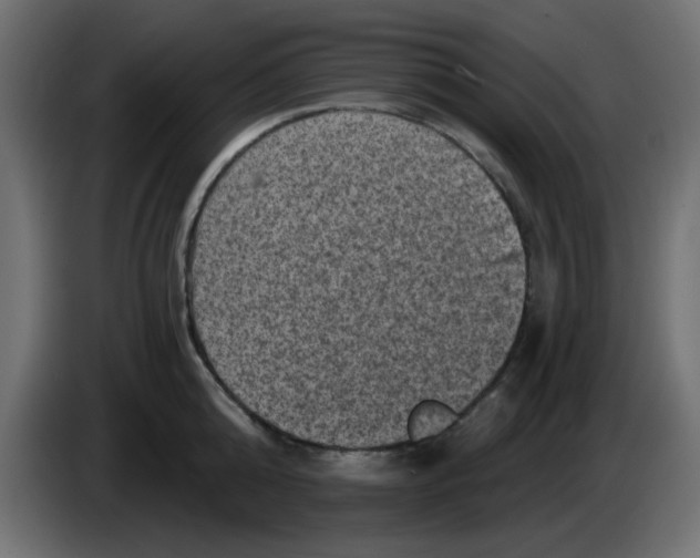 X0000083570808200703021745