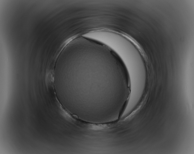 X0000083570809200703021745