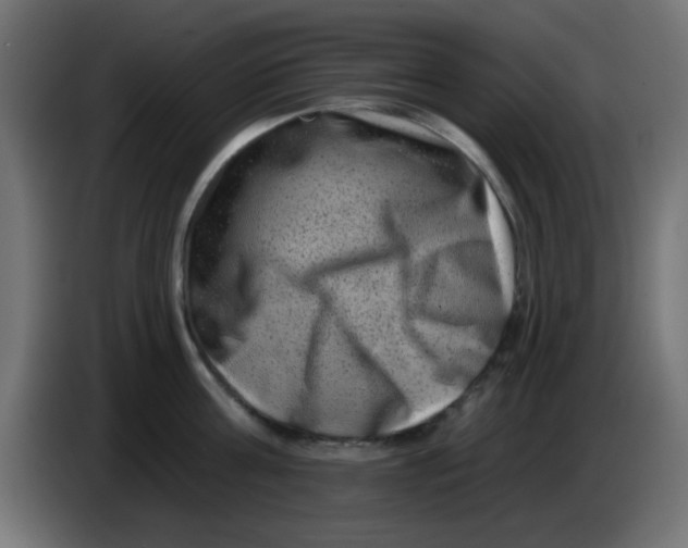 X0000083570811200703021745