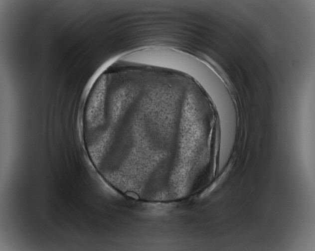 X0000083570812200703021745