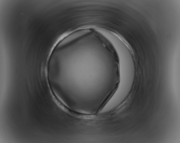 X0000083570813200703021745