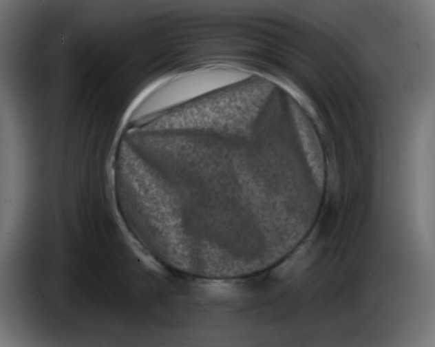 X0000083570814200703021745