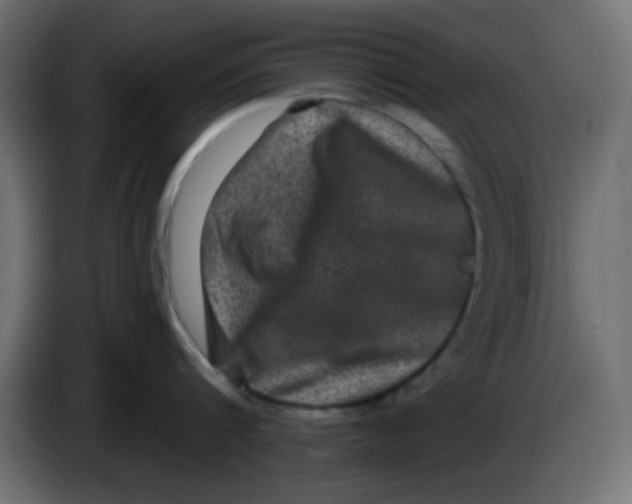 X0000083570816200703021745