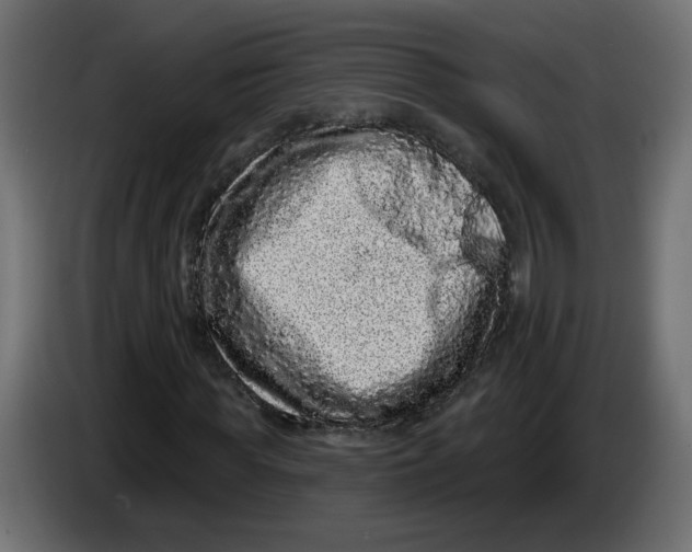 X0000083570819200703021744