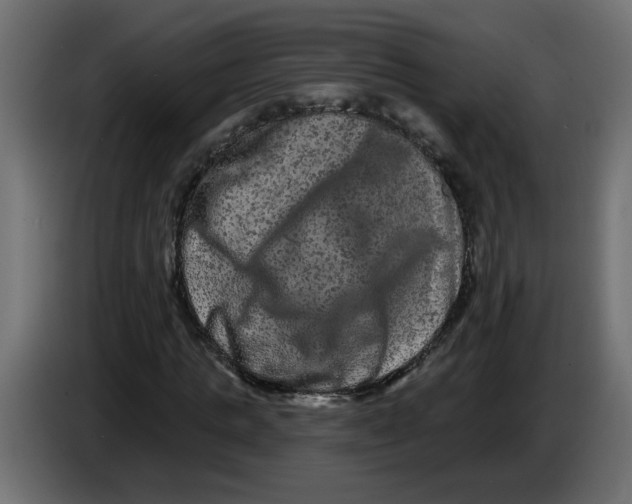 X0000083570821200703021744