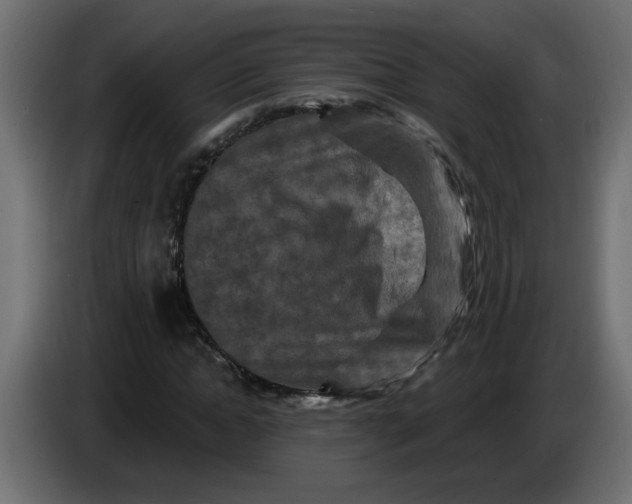X0000083570822200703021744
