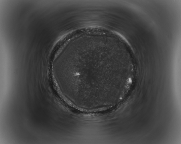 X0000083570823200703021744
