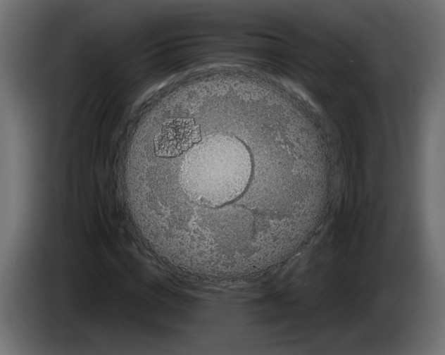 X0000083570824200703021744