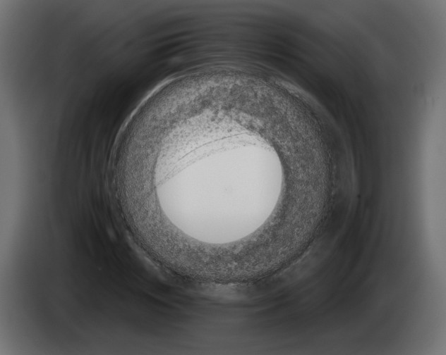 X0000083570828200703021744